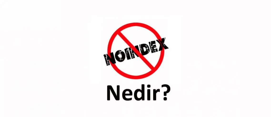 noindex nedir