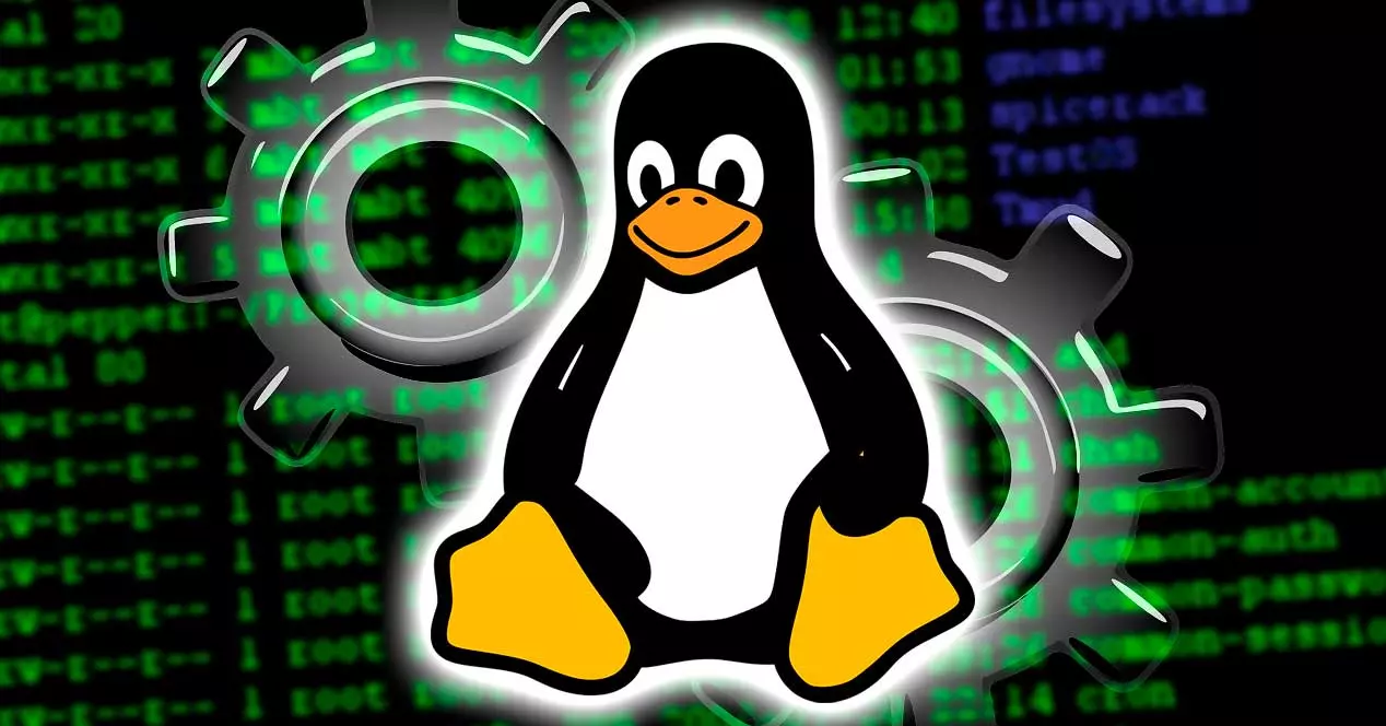 sunucu linux kernel