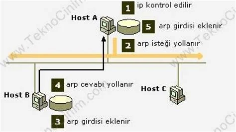 Arp Protokolü Hakkında Temel Bilgiler