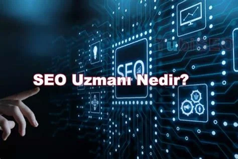 SEO Uzmanının Rolü Nedir?