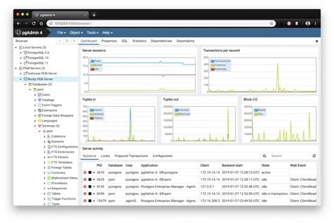 PostgreSQL Veritabanı Yönetimi ve Yedekleme Stratejileri