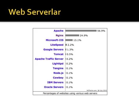 Nginx ile Yüksek Trafikli Siteler Nasıl Yönetilir?