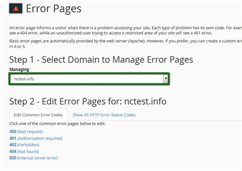 Nginx Hata Sayfaları Nasıl Özelleştirilir?