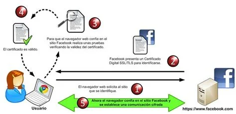 Nginx'de SSL/TLS Sertifikası Nasıl Kurulur?