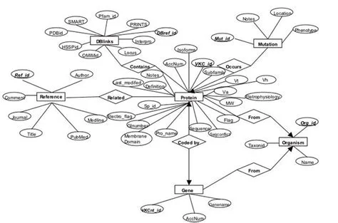 MongoDB ile İlişkisel Veritabanları Arasında Veri Aktarımı