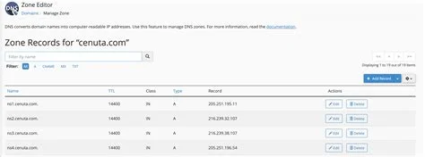 cPanel'da DNS Ayarları Nasıl Yapılır?