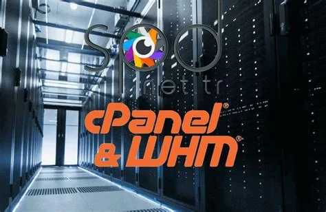 cPanel'da Güvenlik İpuçları