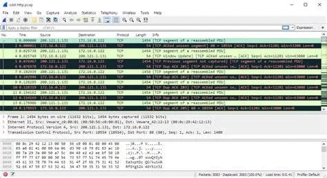 Wireshark'ın İşletim Sistemleri İle Uyumluluğu