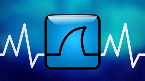 Wireshark Nedir ve Nasıl Kullanılır?