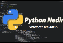 Python Nedir?