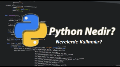 Python Nedir?