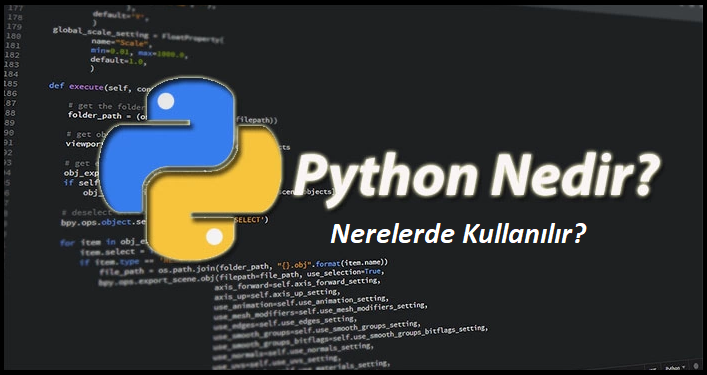 Python Nedir?