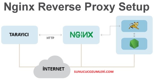 nginx-reverse-proxy