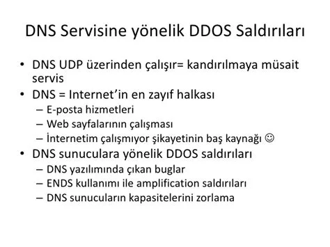 DDoS Saldırıları ve Güvenlik Önlemleri