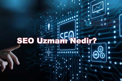 SEO Uzmanının Rolü Nedir?