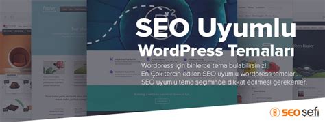 SEO Uyumlu WordPress Temaları
