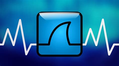 Wireshark Nedir ve Nasıl Kullanılır?