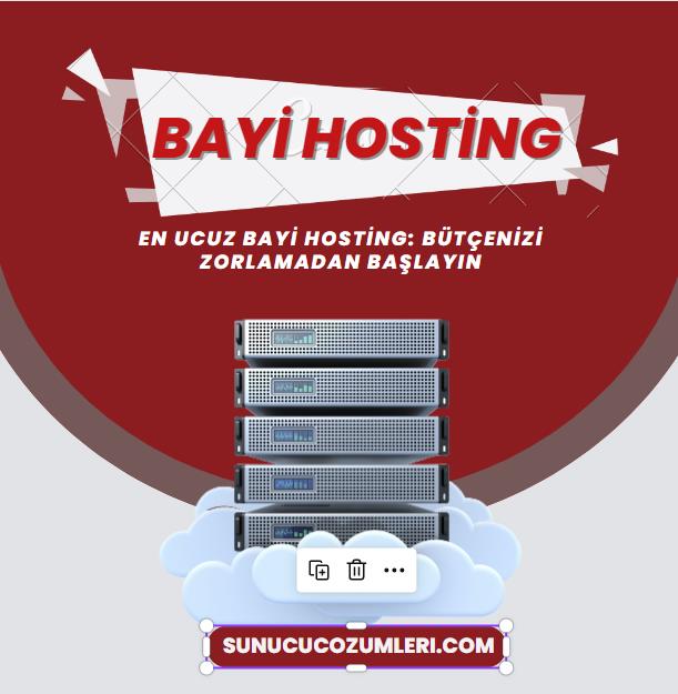 En Ucuz Bayi Hosting Bütçenizi Zorlamadan Başlayın
