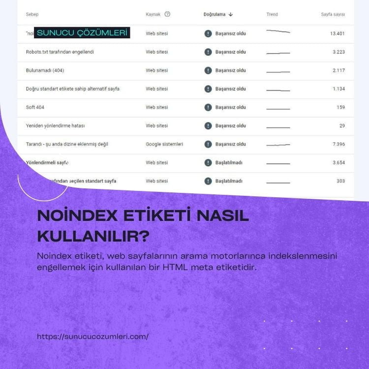 Noindex Etiketi Nasıl Kullanılır