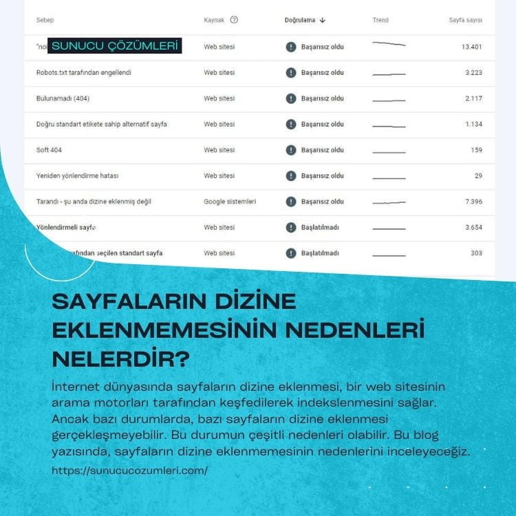 Sayfaların Dizine Eklenmemesinin Nedenleri Nelerdir